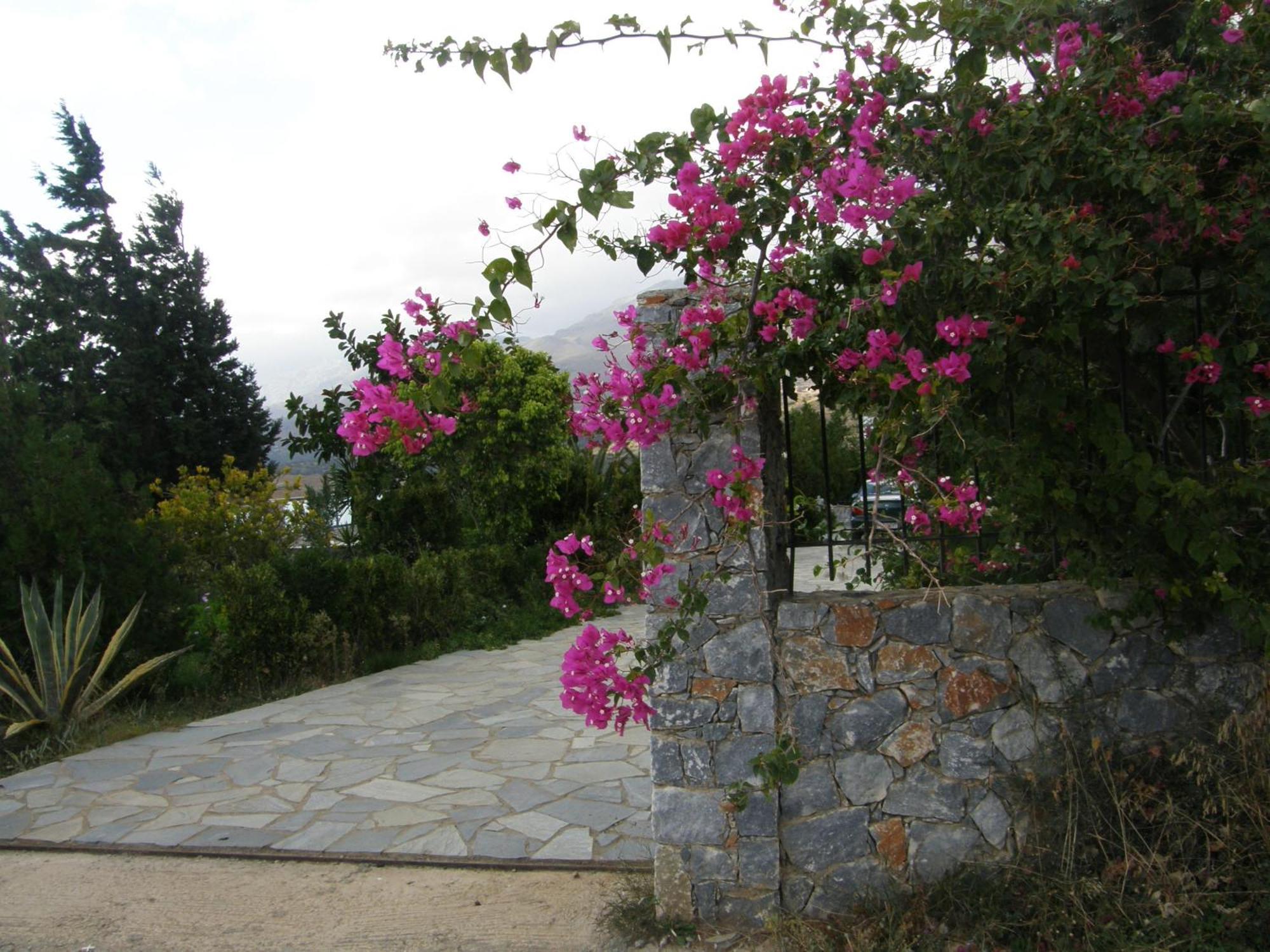 Plakias Villas Lefkogeia Exteriér fotografie