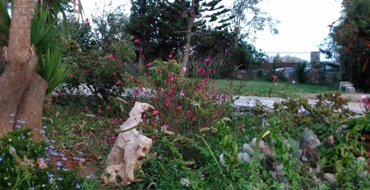 Plakias Villas Lefkogeia Exteriér fotografie